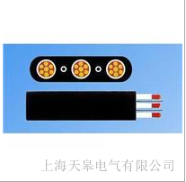 天皋電氣吊車(chē)扁電纜生產(chǎn)廠家
